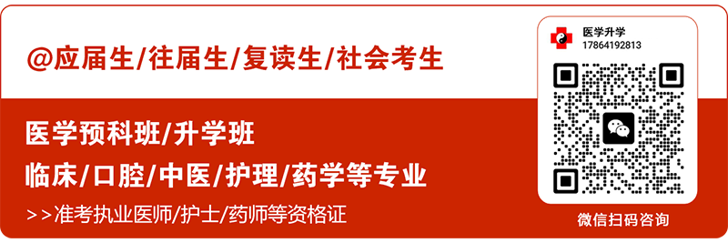 2025年山东力明科技职业学院录取分数线及录取最低位次