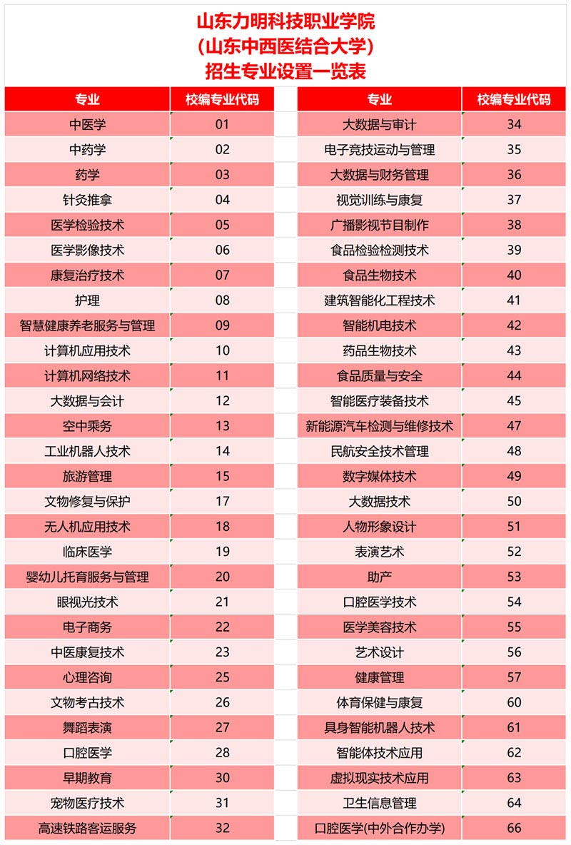 权威发布|山东力明科技职业学院2026年招生简章
