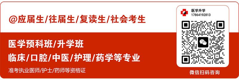 2025年山东力明科技职业学院录取分数线及录取最低位次